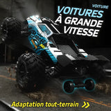voiture télécommandée 4X4 RC tout-terrain Ortilia